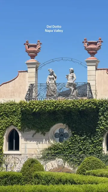 Such a beautiful winery and experience 🍷  #deldotto #napavalley #napawinecountr