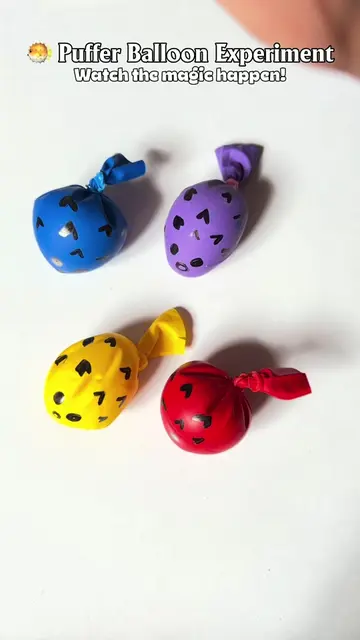 🐡🎈 Puffer Fish Balloon Experiment! 🤯 Can a balloon inflate without anyone blo