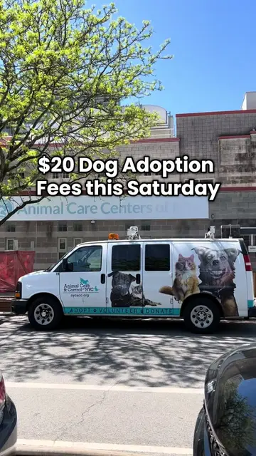 Backyard Barks returns this Saturday! Interested adopters can come directly to t