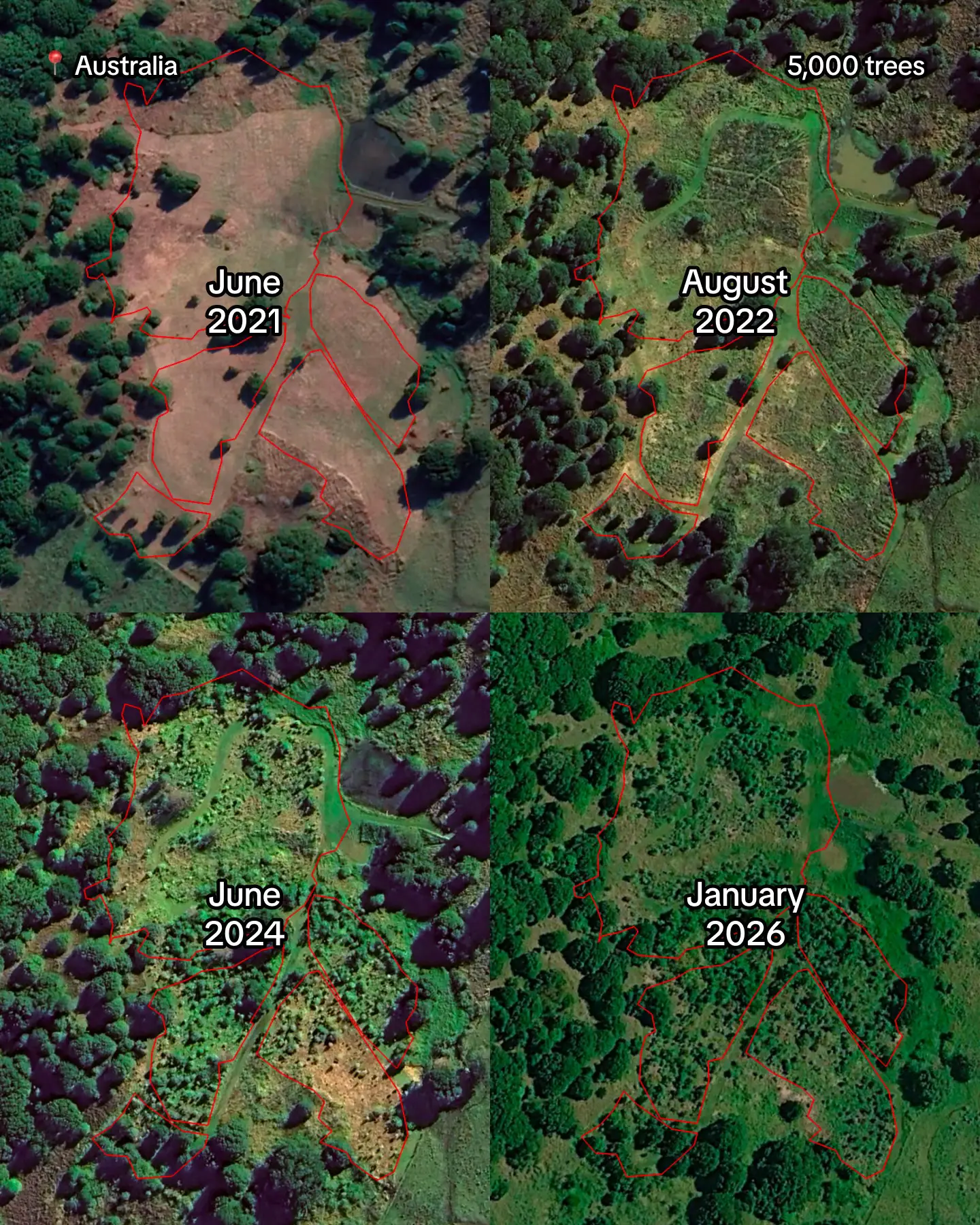 together with ReForest Now, we’ve planted 5,000 biodiverse trees, creating habit