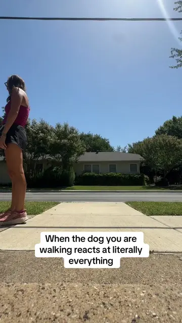 lots and lots of patience for my sweet remi  #reactivedog #dogwalker #dogs 