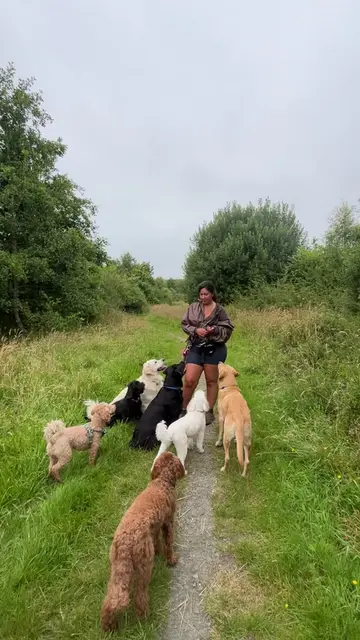 Why do we always do a biscuit cam at the start of our walks? 🐶🍖 It’s not just 
