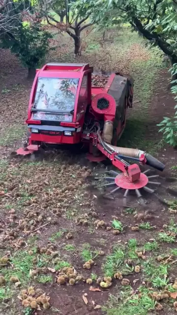 #asmr #satisfying #oddlysatisfying #factory #fpy