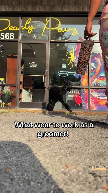 Work wear!! #PetGroomer #SmallBusiness #petgrooming 