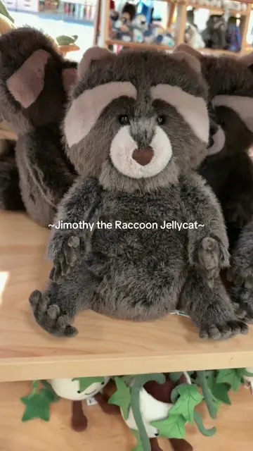 Currently crying over the cutest Jimothy the Raccoon jellycat🦝 #jellycatcollect