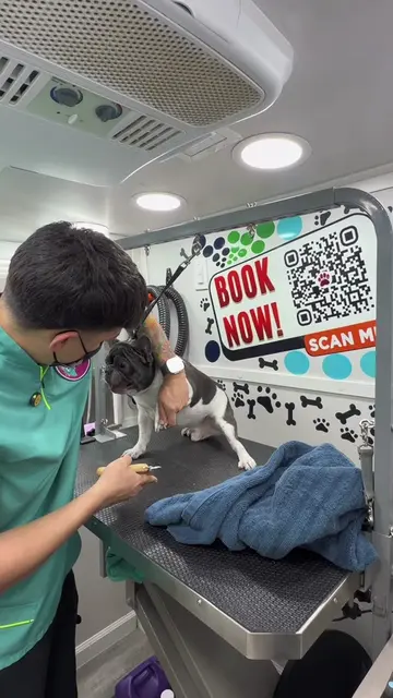 JUEVES DE TBT con el video que milo el piraña llegó al estrellato 🤩🐶🤣 #miami 