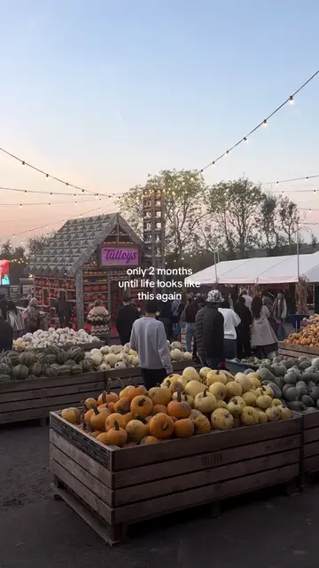 🤎☕️🍂🎃 #october #autumn #pumpkinpatch #halloween #fall 