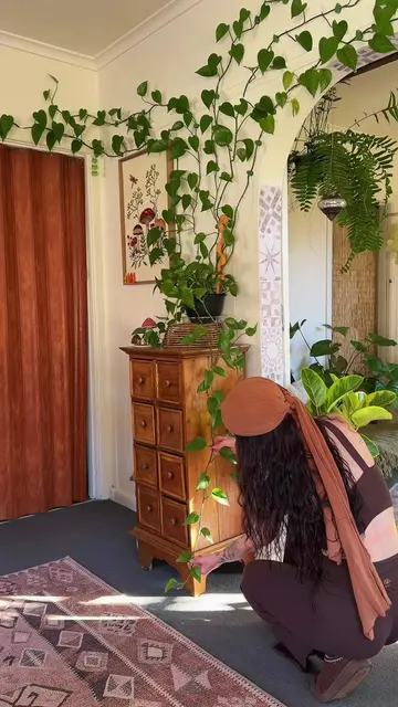 I should have done this weeks ago 🌱🌱 #pothos #plantstyling #cozyhomedecor #pla