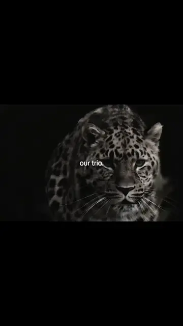 Parte 3 | #leopard #blackpanther #lion #wylos_ #foryoupage 