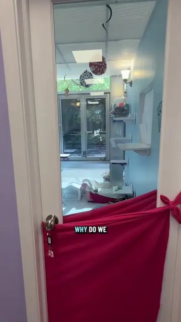 We’ll do whatever it takes to make your cat comfortable at our cat hotel includi