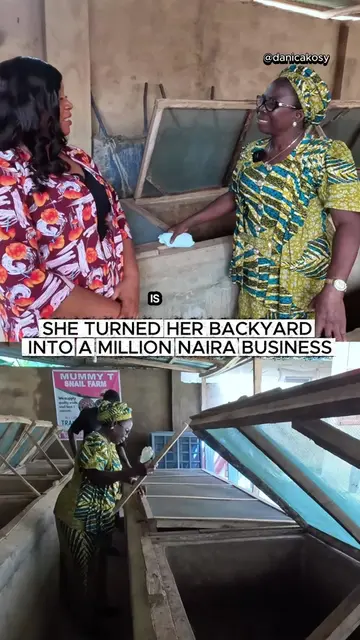 POV you built a million naira business in your backyard #snailfarming #agribusin