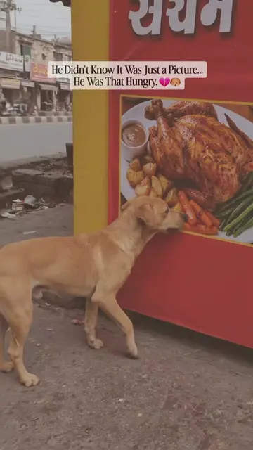 This hungry stray dog stopped in front of a restaurant advertisement and began l