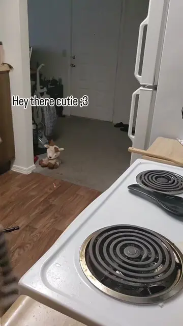 Hey there sweetie! You mind coming over to lend a paw with dinner? Id love a han