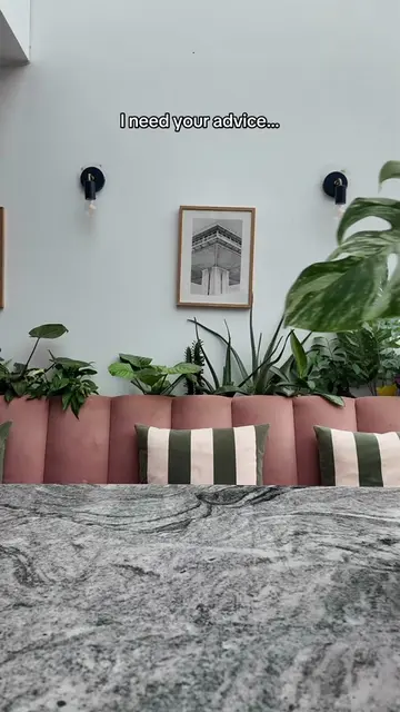 I need your advice! I recently got this incredible monstera albo cutting from @S