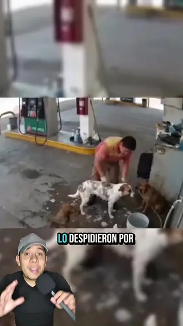 Despachador de gasolina ayudaba a perritos sin hogar en cada turno 🐶❤️⛽ #animal