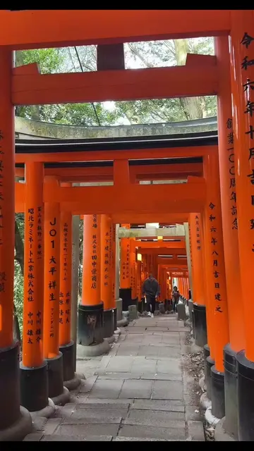 Here’s my 4 day Kyoto itinerary! Kyoto was by far the best city we went to in Ja