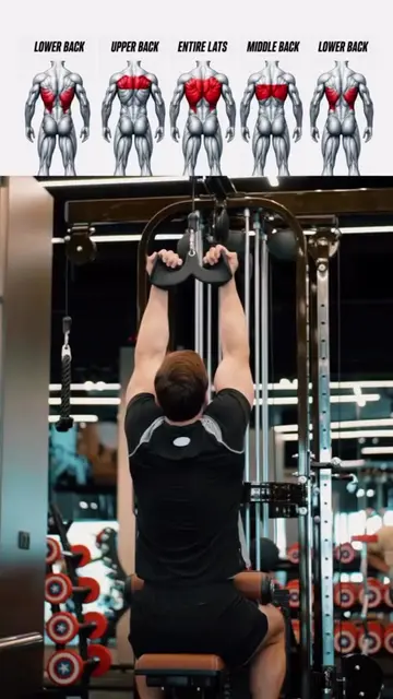 Know the difference ✅ #back #workout #gym #GymTok #fitness 