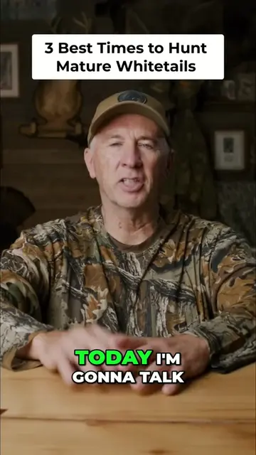 3 prime times to hunt a mature whitetail: Early season bachelor groups, pre-rut 