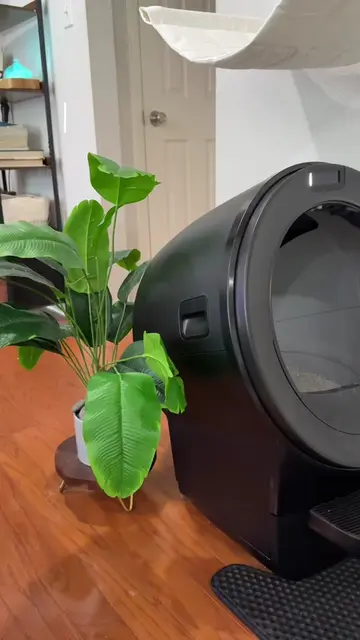 Today’s the ✨DAY✨ 🥹🤖 We’re adding a Litter Hopper to my @Litter-Robot 5🤗🎊 #l