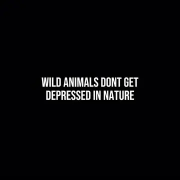 Think about it for a minute… . . Join our Free Community in our profile link! . 