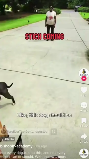 A lot of you asked for my opinion on this training video, so I watched it severa