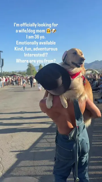 Any takers? #dogdad #single #goldenretriever #cutedog #fypシ゚viral @Brett Young 
