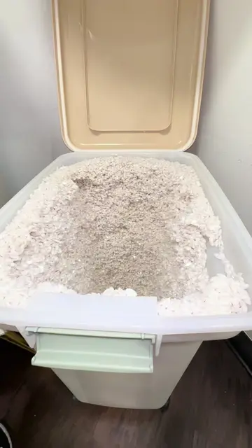 My toxic trait is thinking every wax bin video is different🤍✨ If you’re in Oran