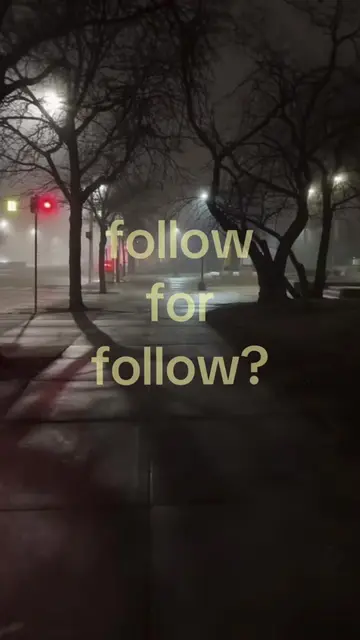 #creatorsearchinsights #ifb #goviral #fypシ #followforfollow 