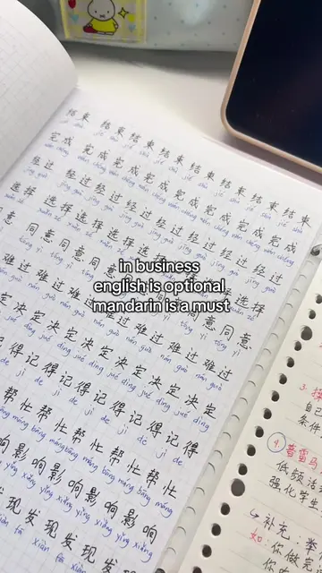 learning chinese is like investing in your future 😌 #learnchinese #mandarin #ch