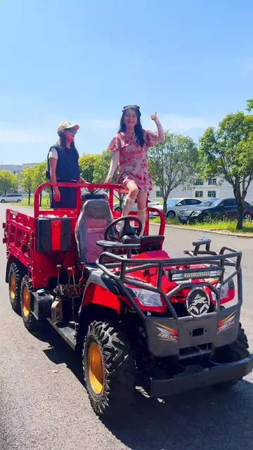 Professional electric farm cart manufacturer, eco agri transport vehicles full s