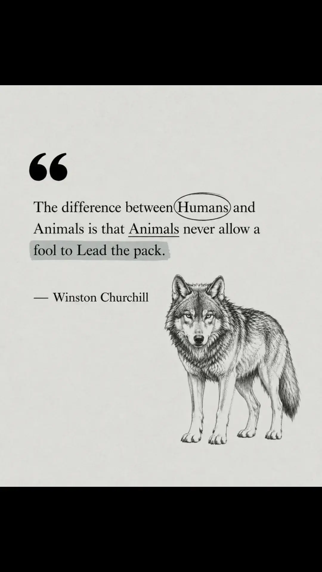 #fyp #wisdom #success #leadership 