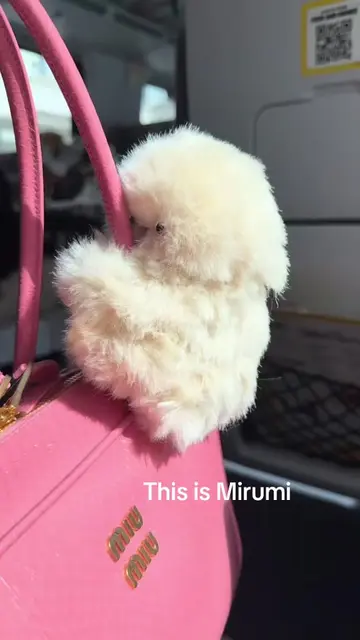 He’s a tiny little guy 🥹 @mirumi_tokyo  #Mirumi #BagCharm #WhatsInMyBag #MiuMiu