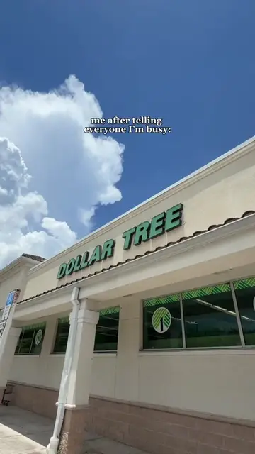 #ad @Dollar Tree I’m busy…shopping!! 🛒 #dollartree #dollartreehaul #dollartreef