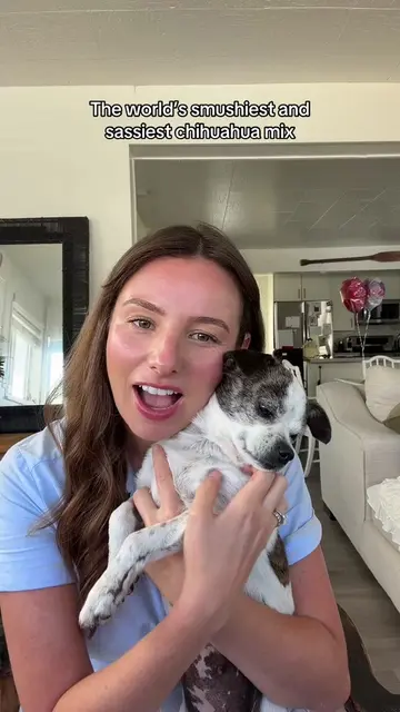 Showing JuneBug’s swoop nose as inspo to my plastic surgeon #rescuedog #shelterd