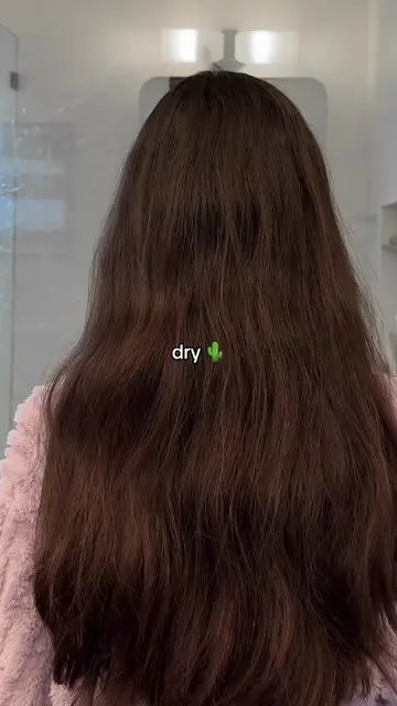 stay for the results 👀✨ #elfhair 