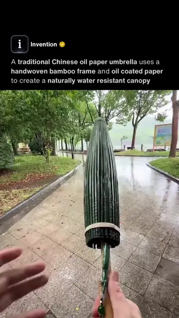 Original Video Credit: IG/sangzhu_yang A tightly folded green umbrella slowly un