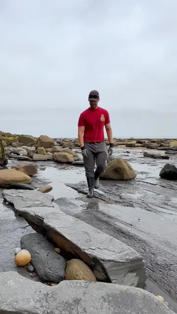 What an incredible discovery! 🤩 We stumbled upon a massive shale collapse packe