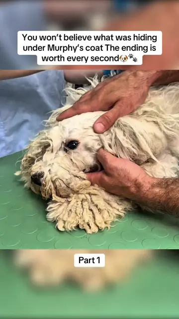 The truth behind Murphy’s condition is more heartbreaking than most people think