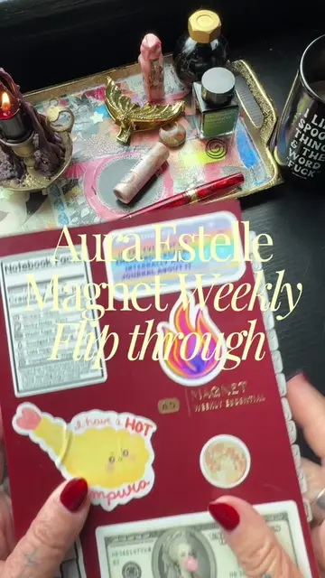 My Aura Estelle weekly flip through! (This is an A5!) What color are you guys ge
