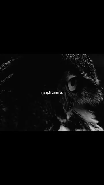 Parte 7 | #owl #spiritanimal #wylos_ #fyp #foryoupage 