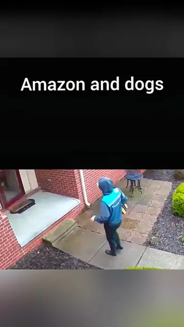 Dog befriends delivery person.🤣🤣 #pet #cat #dog #cute #animals #foryou #typ