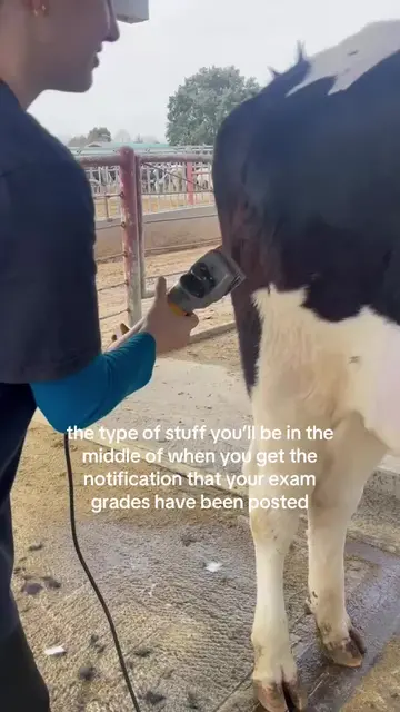 lining bro up💈🐮 you can call me the cow barber #fyp #vetstudent #vetmed #colle