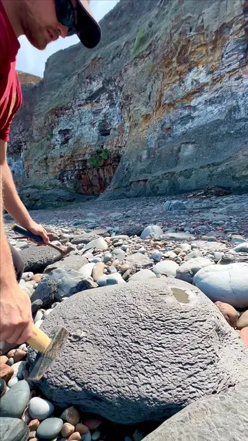A giant shale landslide led us to one of our most favourite fossil discoveries y