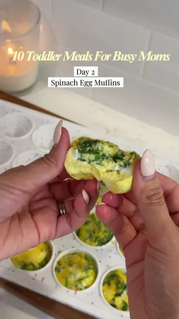 Day 1 of 10 days of toddler meals for busy moms. Spinach Egg Muffins Ingredients