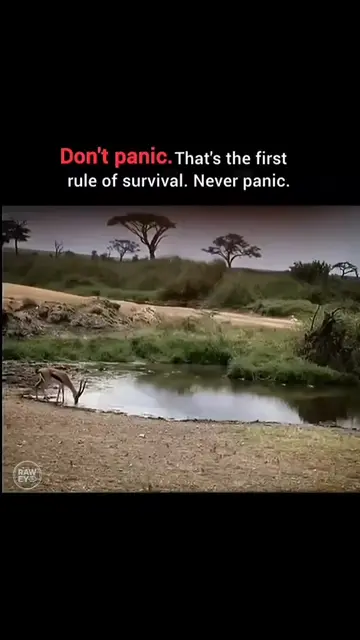 Stay Calm, Stay Strong, Don’t Panic,  #creatorsearchinsights #motivation #mindse