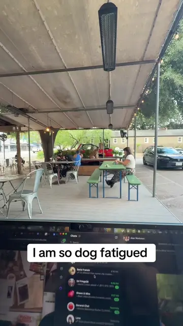 #dogfatigue #dogparents 