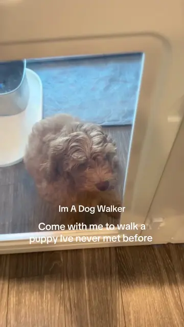 Technically this is a drop in visit because Greta is so young she still cant go 