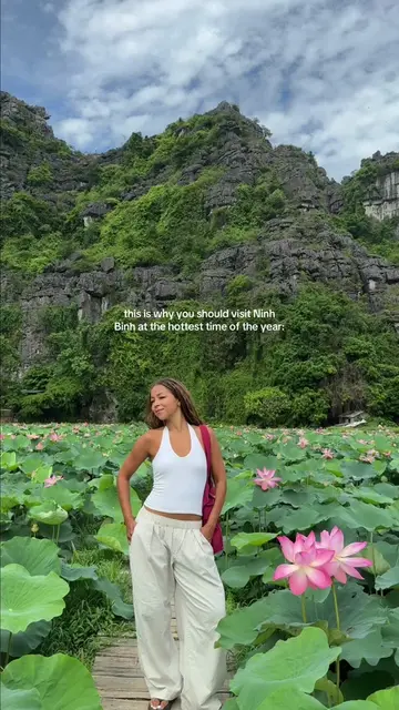 peak lotus season is June and July!! it’s extremely hot and humid but worth it t