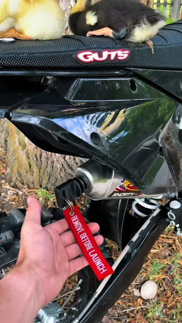 Def gunna need a new seat cover after that😭🤢 #mototok #viral #duck #chicken 
