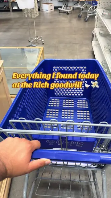 Everything I found today at the rich goodwill tell me what caught your eye 👁️🧺